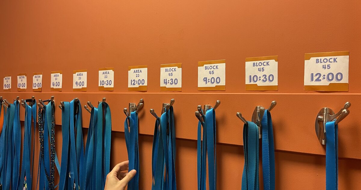 A close-up of check-in lanyards organized by class time for a children's ministry check-in system